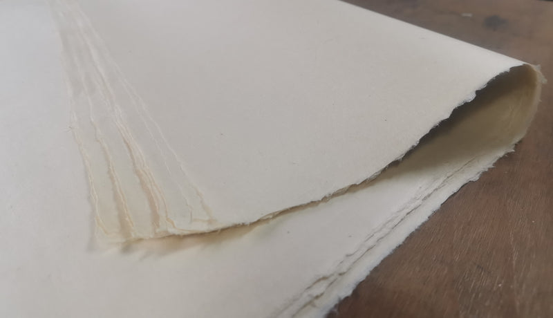 Japanese Gampi Tissue – Conservation Supplies