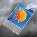 Crystal Clear Bag 13 x 19" (A3+)-341mmx489mm