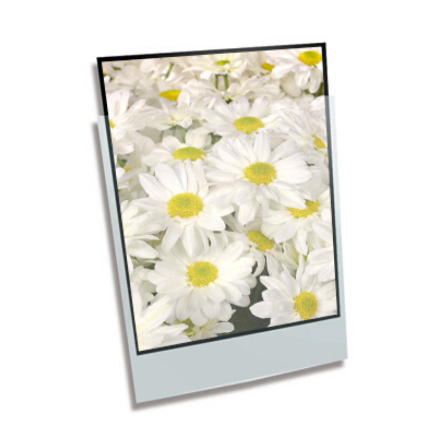 Polypropylene Enclosure - 9 x 12