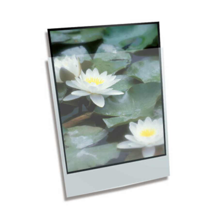Polypropylene Enclosure - 13 x 19