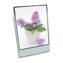 Polypropylene Enclosure Foolscap